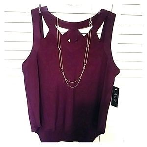 NWT Plum color Top